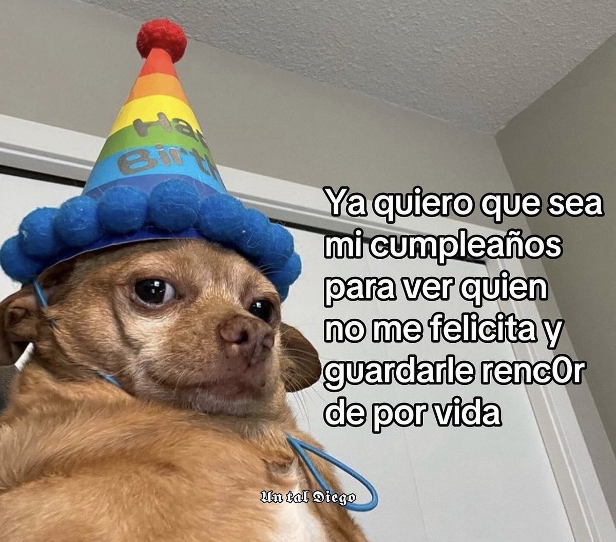 lo que pensamos las niñas lindas: