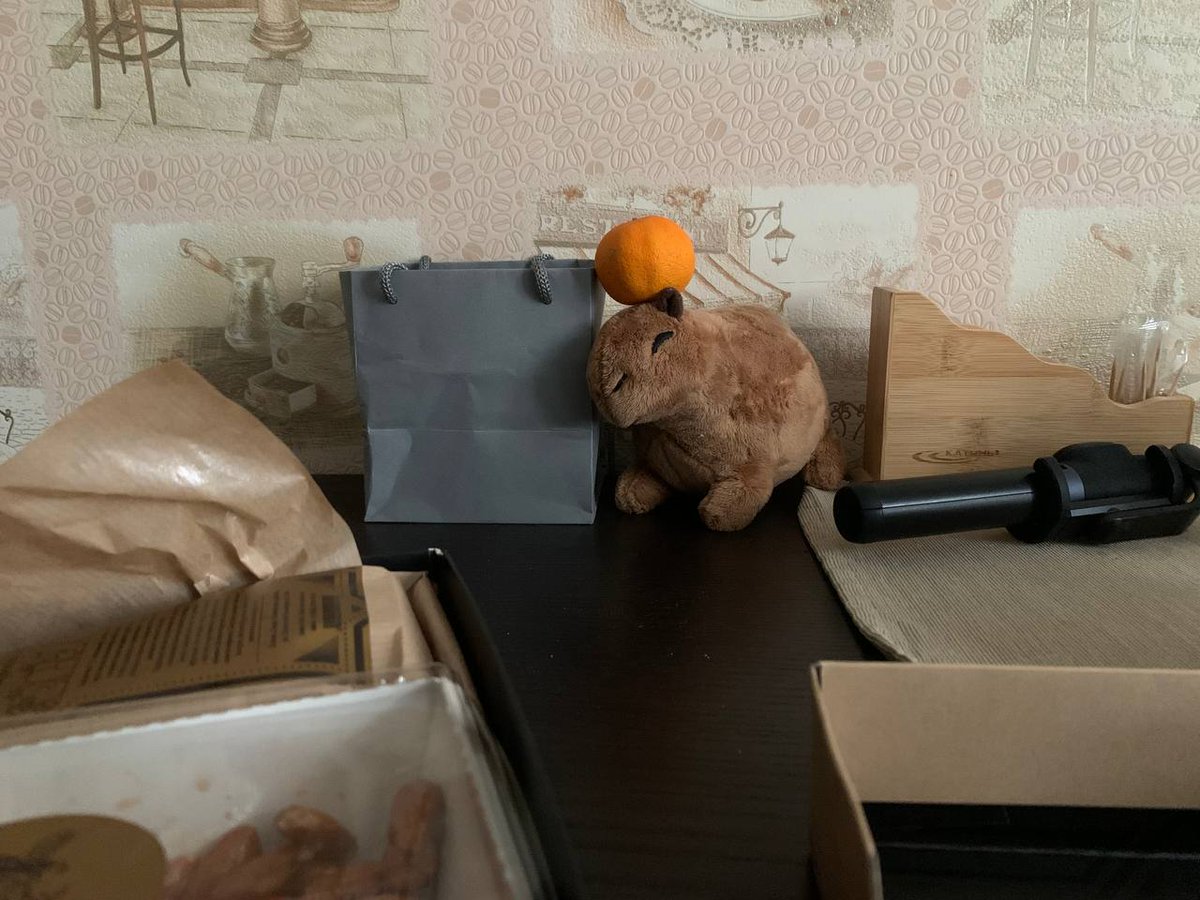 капибара