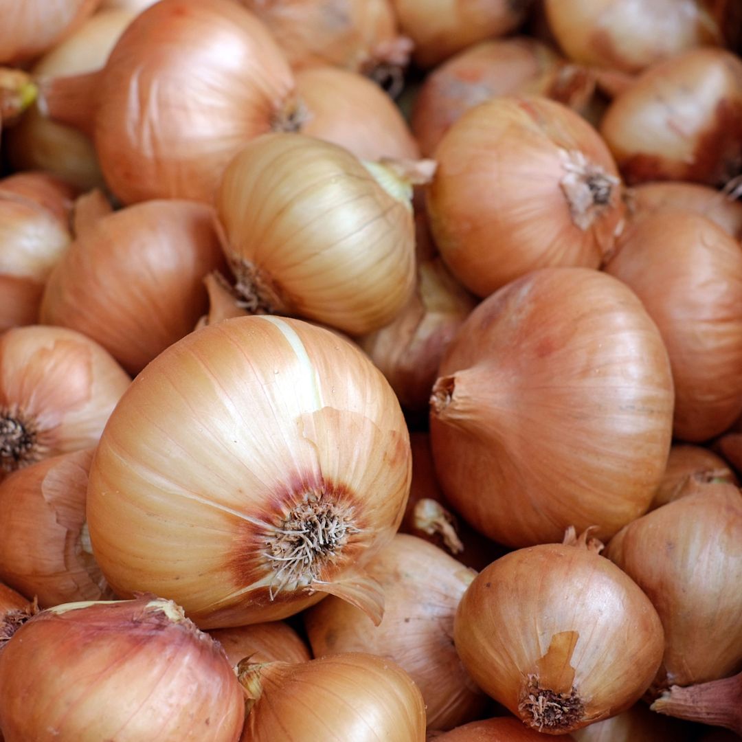 Congrats to Esendugue Greg Fonsah who is a Co-PI on a new competitive grant from @USDA_NIFA entitled: Ensuring Future Economic Viability of US Short-day Onion Production through Mechanical Harvesting. Check out a project synopsis on our LinkedIn page linkedin.com/in/uga-agricul…