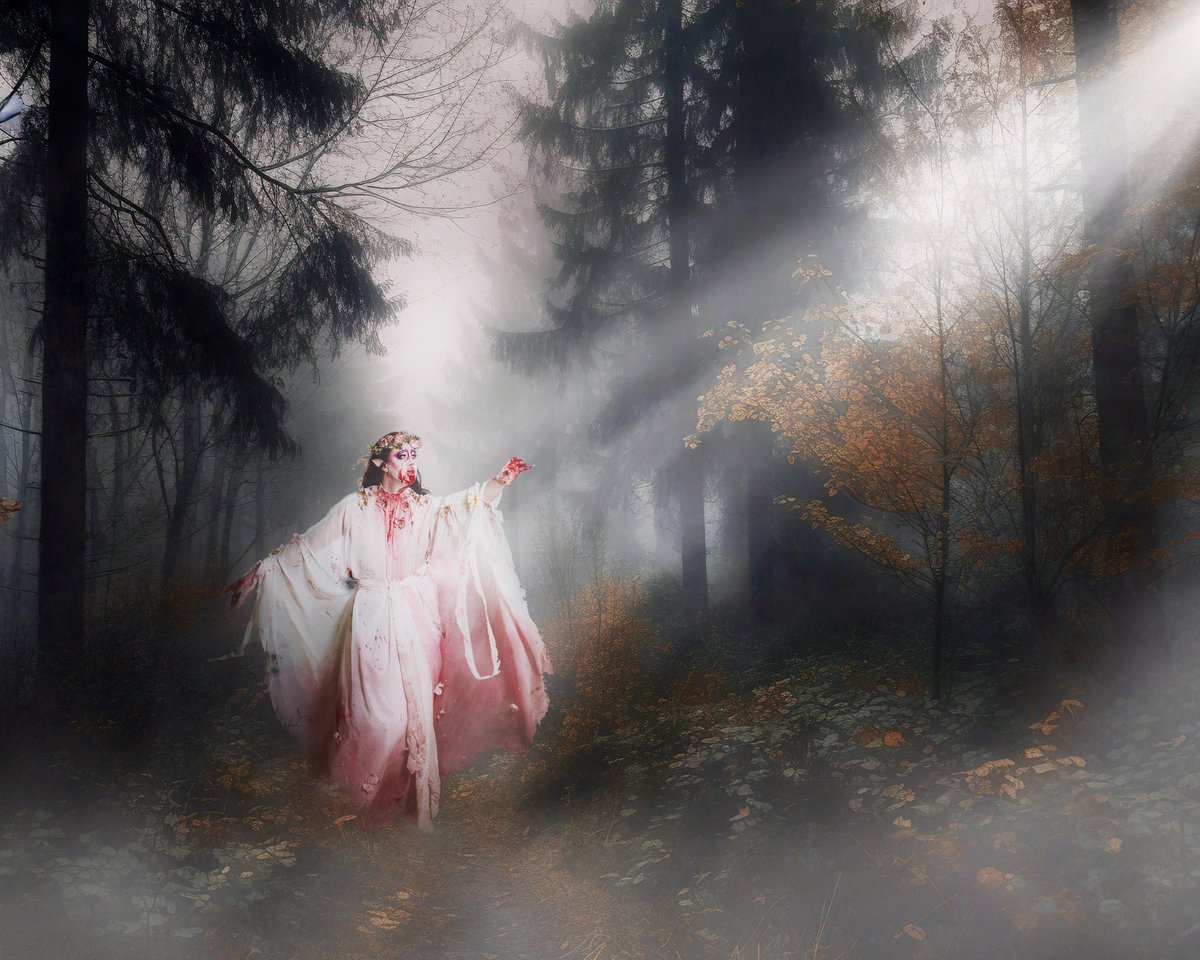 I don’t see you walking children in nature 🍂 stay out of the woods

Another killer shot with Matt Dickson Photography