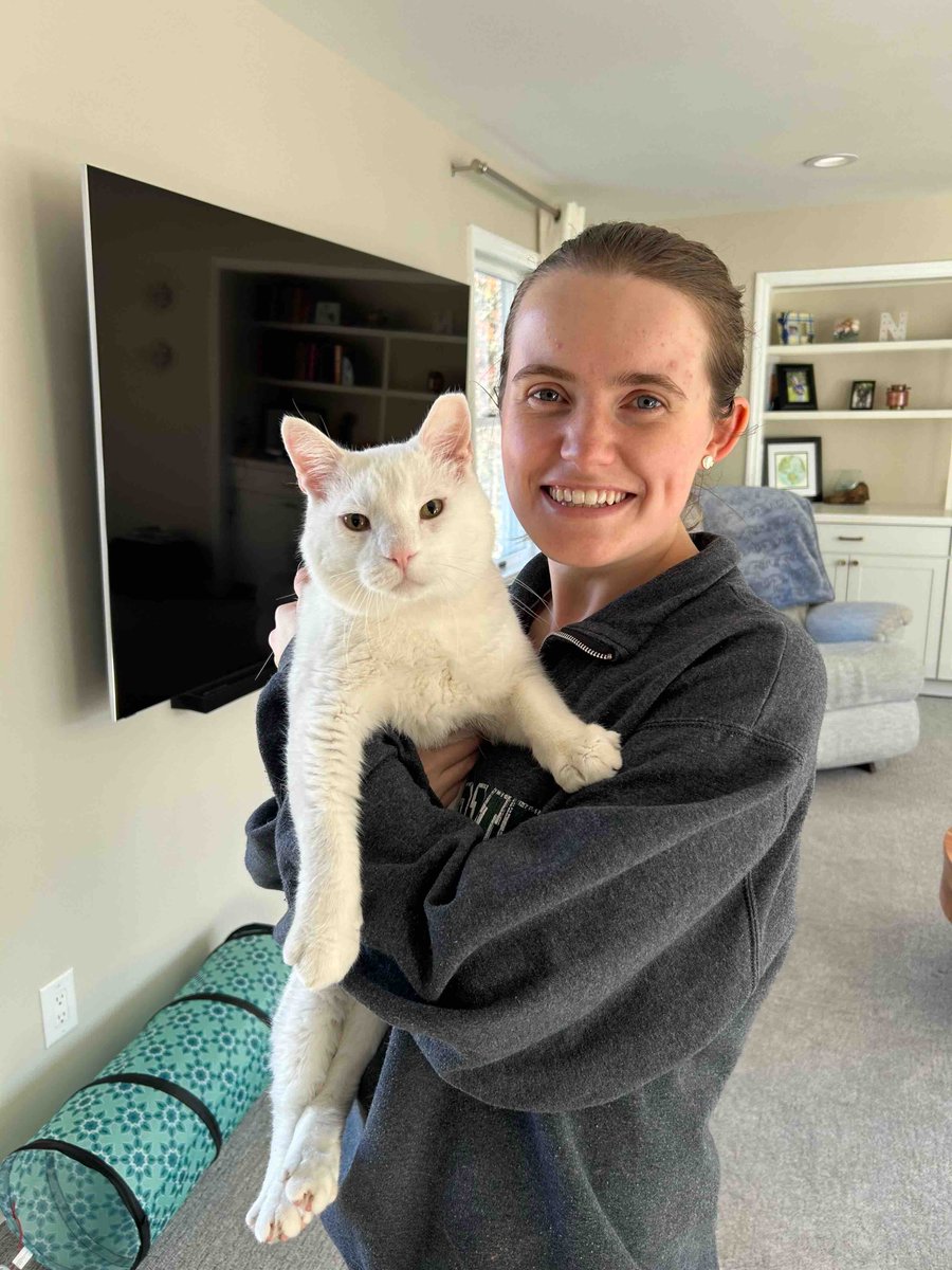 Snowball has a lot to be thankful for this Thanksgiving 🦃 🥧 He has found the purrfect home to celebrate in! #adoptdontshop #karmacatzendog #catadoption