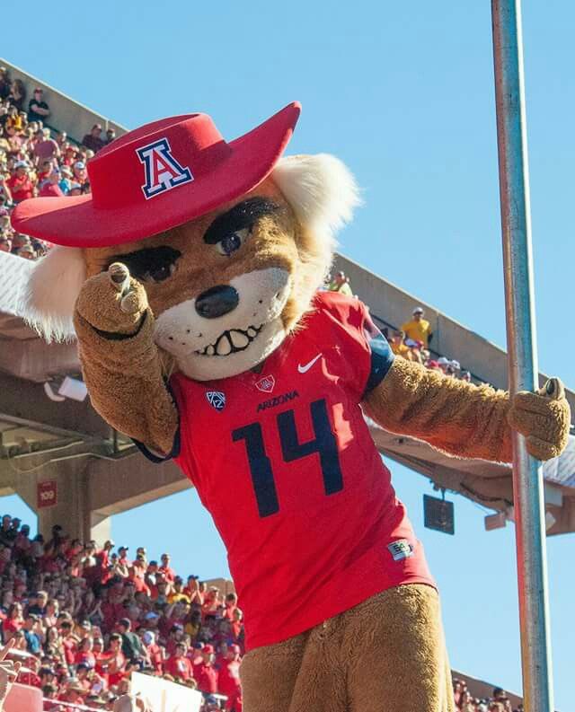Jojo (@jusyis3) on Twitter photo I’ll be at Arizona vs Utah game this weekend!! <a href="/CoachSolis2/">Coach Solis</a> <a href="/Ballhawk__8/">Armond Hawkins JR “Mondo”</a> <a href="/ScottieGraham/">Scottie Graham</a> I’ll be at Arizona vs Utah game this weekend!! <a href="/CoachSolis2/">Coach Solis</a> <a href="/Ballhawk__8/">Armond Hawkins JR “Mondo”</a> <a href="/ScottieGraham/">Scottie Graham</a>
