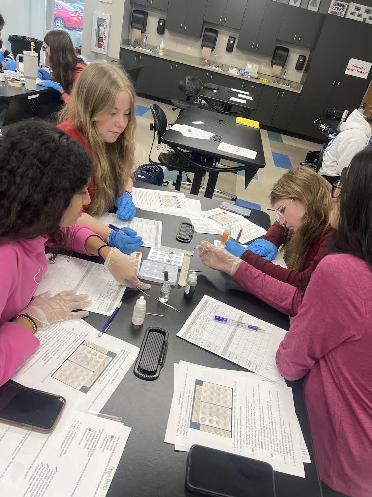ACTC_org's tweet image. Step into Mrs. Scott’s sophomore biomedical class where students dive into the fascinating world of forensics and toxicology labs during their autopsy unit! 🧪🔍 Engaging, hands-on learning in action! #BiomedicalScience #ForensicsLab #WeAreACTC