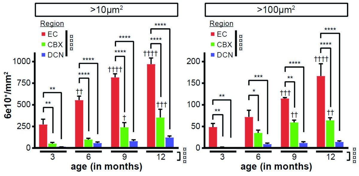 Albert I. Chen (@aic2002) on Twitter photo In this collaboration with Toh Hean Ch'ng <a href="/NTU_LKCMedicine/">LKCMedicine</a>, we identified molecular signatures and signaling pathways that may explain why Alzheimer’s disease pathology is largely absent in the cerebellum compared to other brain regions until late stages. doi.org/10.1186/s12974… In this collaboration with Toh Hean Ch'ng <a href="/NTU_LKCMedicine/">LKCMedicine</a>, we identified molecular signatures and signaling pathways that may explain why Alzheimer’s disease pathology is largely absent in the cerebellum compared to other brain regions until late stages. doi.org/10.1186/s12974…
