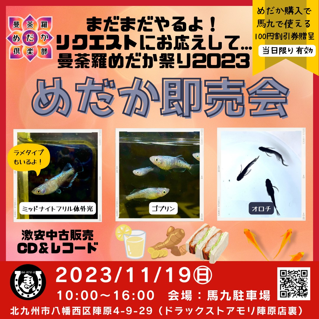 🌸曼荼羅めだか祭り2023🌸
日時：11月19日㈰10時〜16時
会場：馬九駐車場
場所：北九州市八幡西区陣原4-9-29
馬九店舗前に駐車場3台あり
詳細▶note.com/mandara_medaka…

【内容】
・めだか即
奛めだか @akira__medaka
琉メダカ @ryu_medaka0304