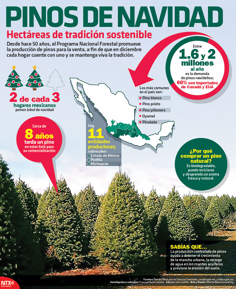 Adquirir un árbol de Navidad de una plantación forestal recupera servicios ambientales de las tierras degradadas por actividades agropecuarias, además de servir de refugio para animales, ayudar a recuperar el suelo y, sobre todo, capturar el dióxido de carbono y liberar oxígeno