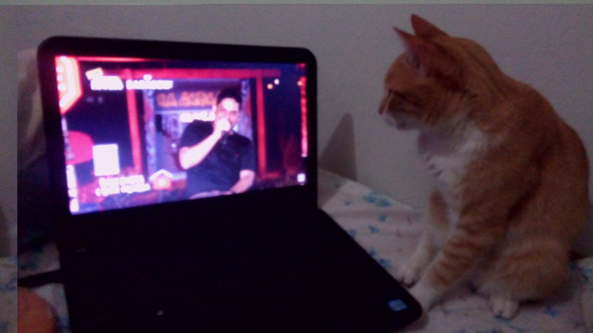 [RT até chegar na <a href="/chicorinha_/">chicória maria</a> <a href="/chicoriaverso/">Portal Chicória Maria</a>]
S.O.S Chics e gatinha Mimas!
Meu gato Memelo, vulgo meme, curte sertanejo. Olha ele aí vendo <a href="/jorgeemateus/">Jorge & Mateus</a> escondido. O que devo fazer?