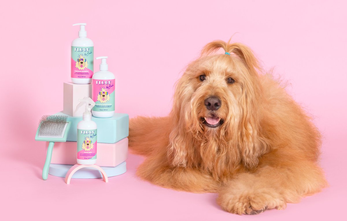 Creators launching original product is a dog eat dog world nowadays... (I couldn't help myself). Check out my first @Forbes piece profiling Creators who launch their own brands ft. Floof by Brodie: forbes.com/sites/adamwesc…