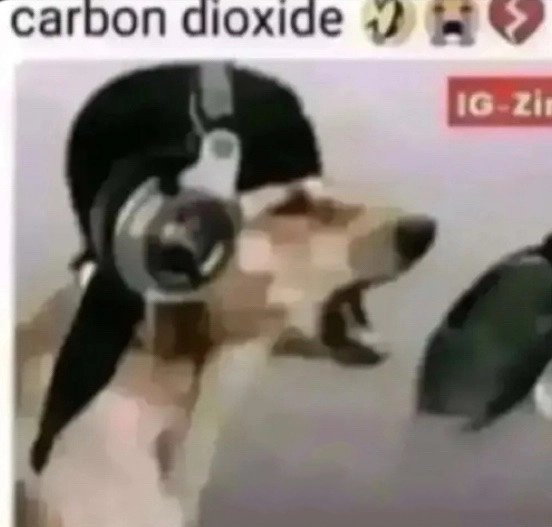 dogeslaw tweet media