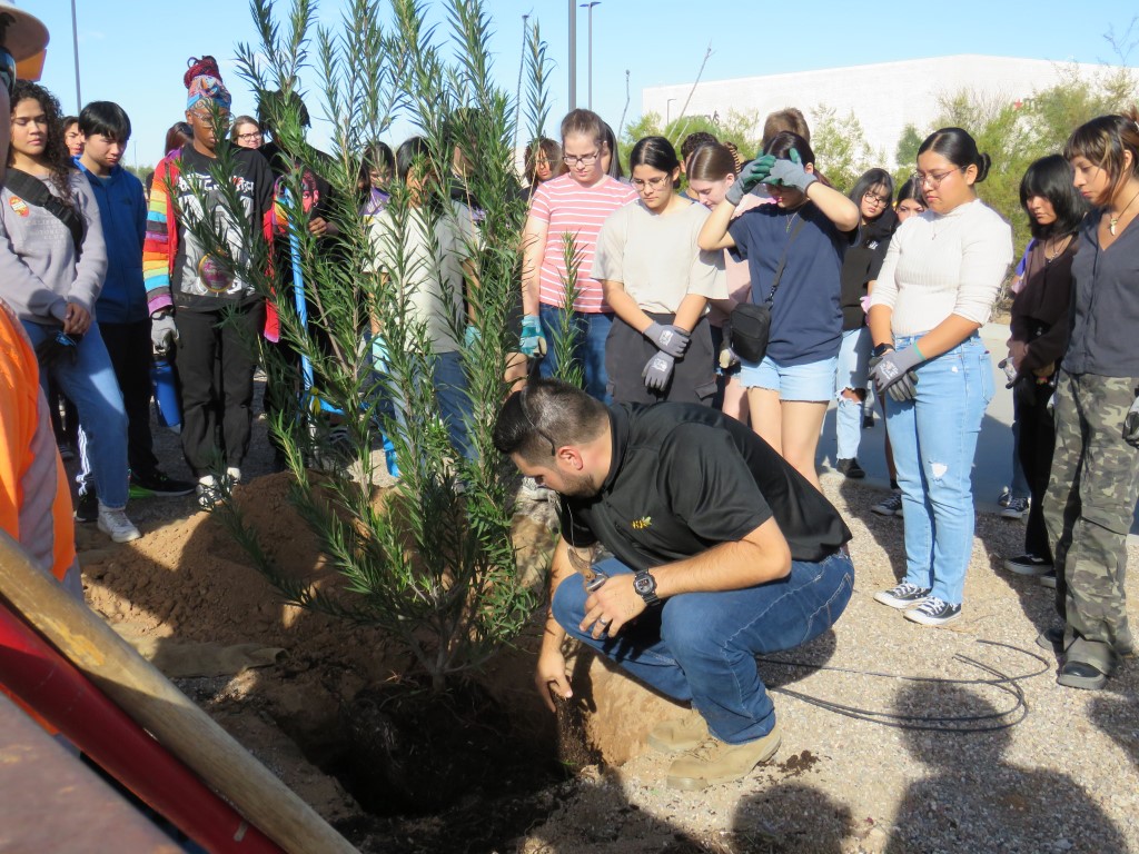 CITYOFMESA's tweet photo. The City of Mesa and its partners @Meta, @mpsaz Mesa High, @valleymetro and @AZSA were busy this week planting 180 new trees and shrubs at Superstition Springs Center. Read more: https://t.co/4zOEYzGYPp
 #TreesAreCool #MesaClimateAction @MayorGiles @MesaDistrict2 @MesaDistrict6 https://t.co/Eord7quT4E