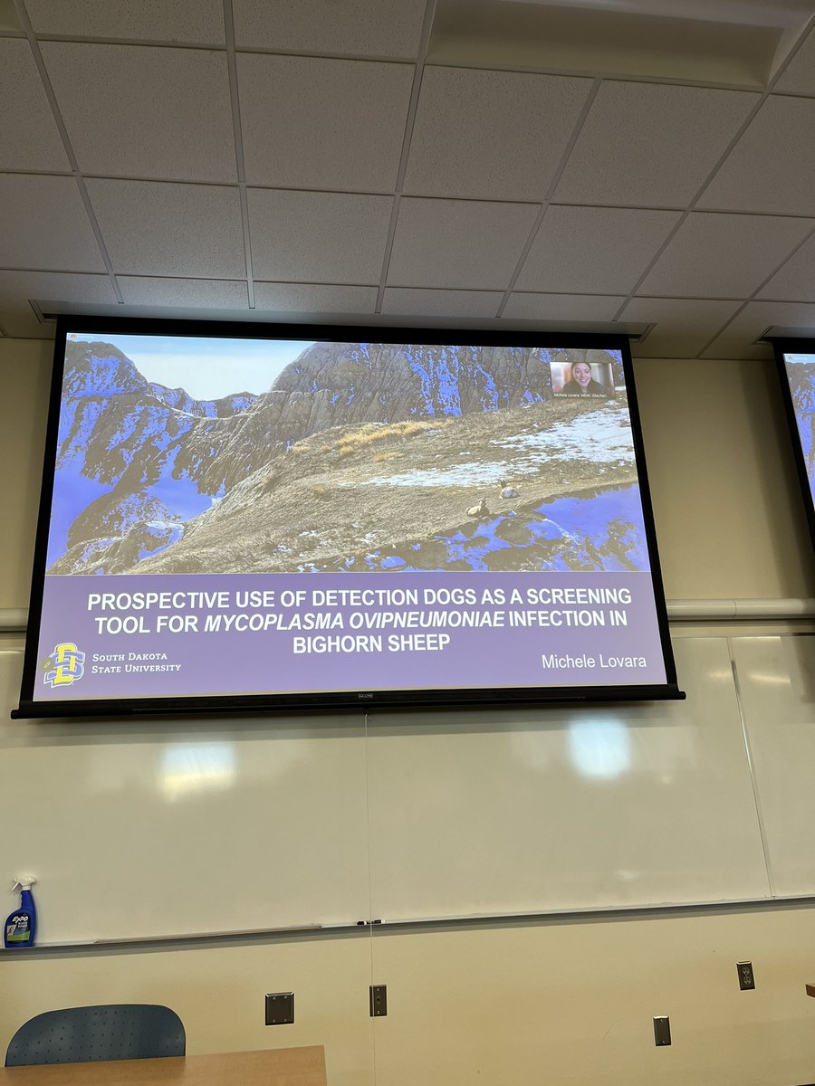 BillSeverud's tweet photo. Big day at #SWEL @SDStateNRM! MS students Michele Lovara and Jeff Tillery presented their proposals on 🐑 in and around @BadlandsNPS https://t.co/nL73oPvcYB