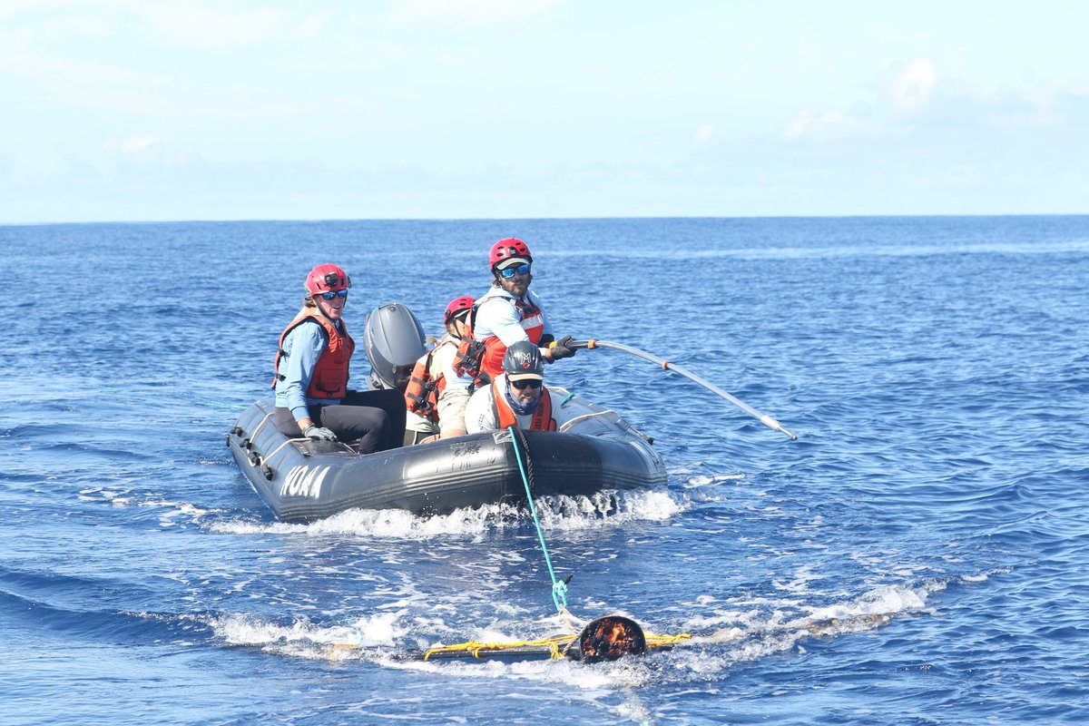 Last month, Sanctuary staff member Maria Harvey flew to Hawaii Island to lead a multi-day training for large whale entanglement response. 13 trainees took part in learning whale disentanglement techniques and participated in hands-on on-water training. 📸: Maria Harvey