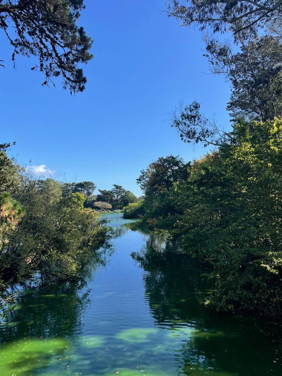 Time will pierce the colored ornaments on the surface of youth, will dig deep grooves and shallow grooves in the forehead of beauty; will eat up rare treasures! Born to be beautiful, nothing escapes his sweeping scythe.