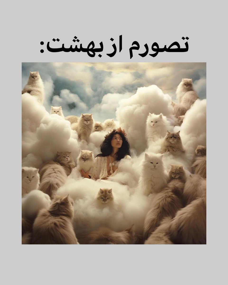تصور شما ؟