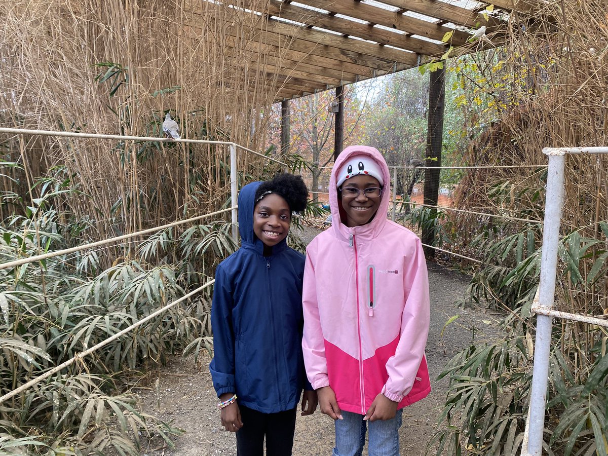 JASArockets's tweet photo. Safari fun! #jasarockets https://t.co/qGtanqVdm4