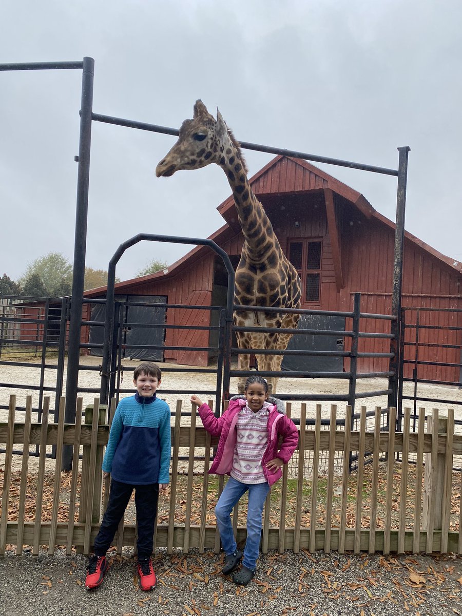 JASArockets's tweet photo. Safari fun! #jasarockets https://t.co/qGtanqVdm4