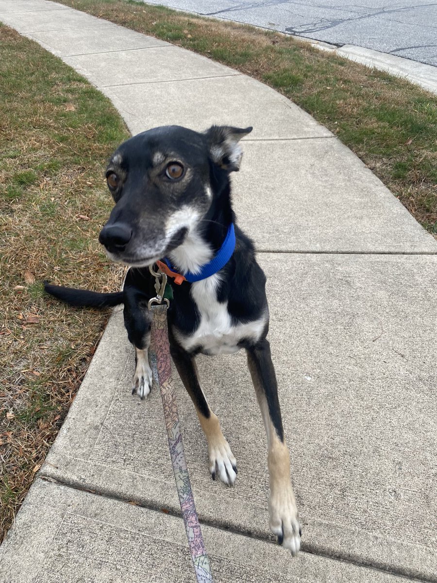 Beth Carpenter | TDS Weather tweet media