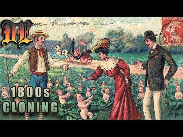 What is it about the cabbage children, the orphan trains and the orphanages of that time? Why were so many countless mental asylums opened back then, into which masses of people were forcibly committed and immobilized for the most ridiculous reasons?