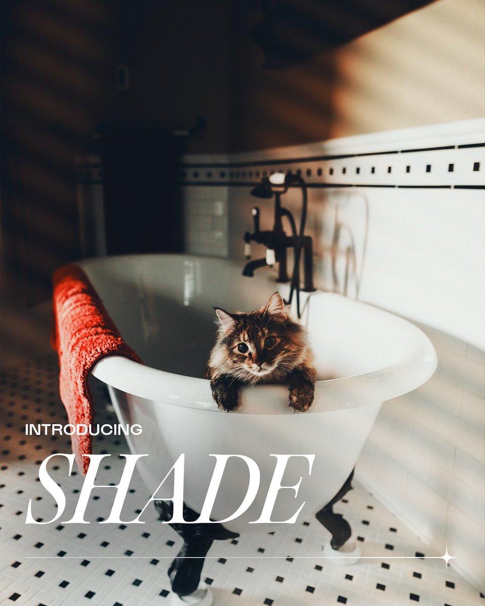 Afterlight tweet media