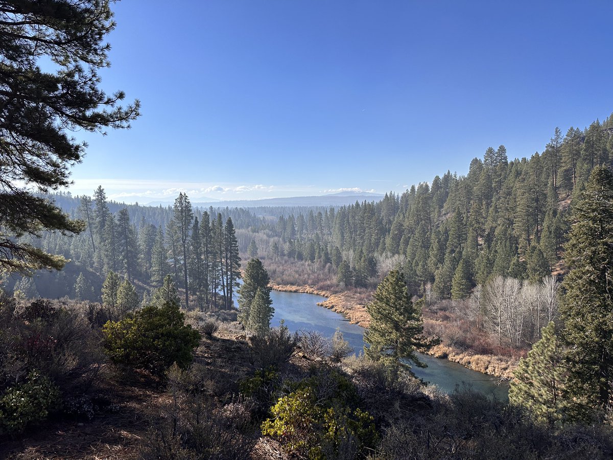 Fre_WinNF's tweet photo. For #TakeAHikeDay, you could head to the grocery store and fight the crowds for that last frozen turkey.

Or, you could choose to take a hike, enjoy nature and de-stress. 

¯\_(ツ)_/¯ https://t.co/F6NH8ORgHu