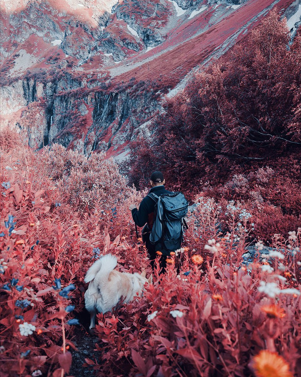 Afterlight tweet media