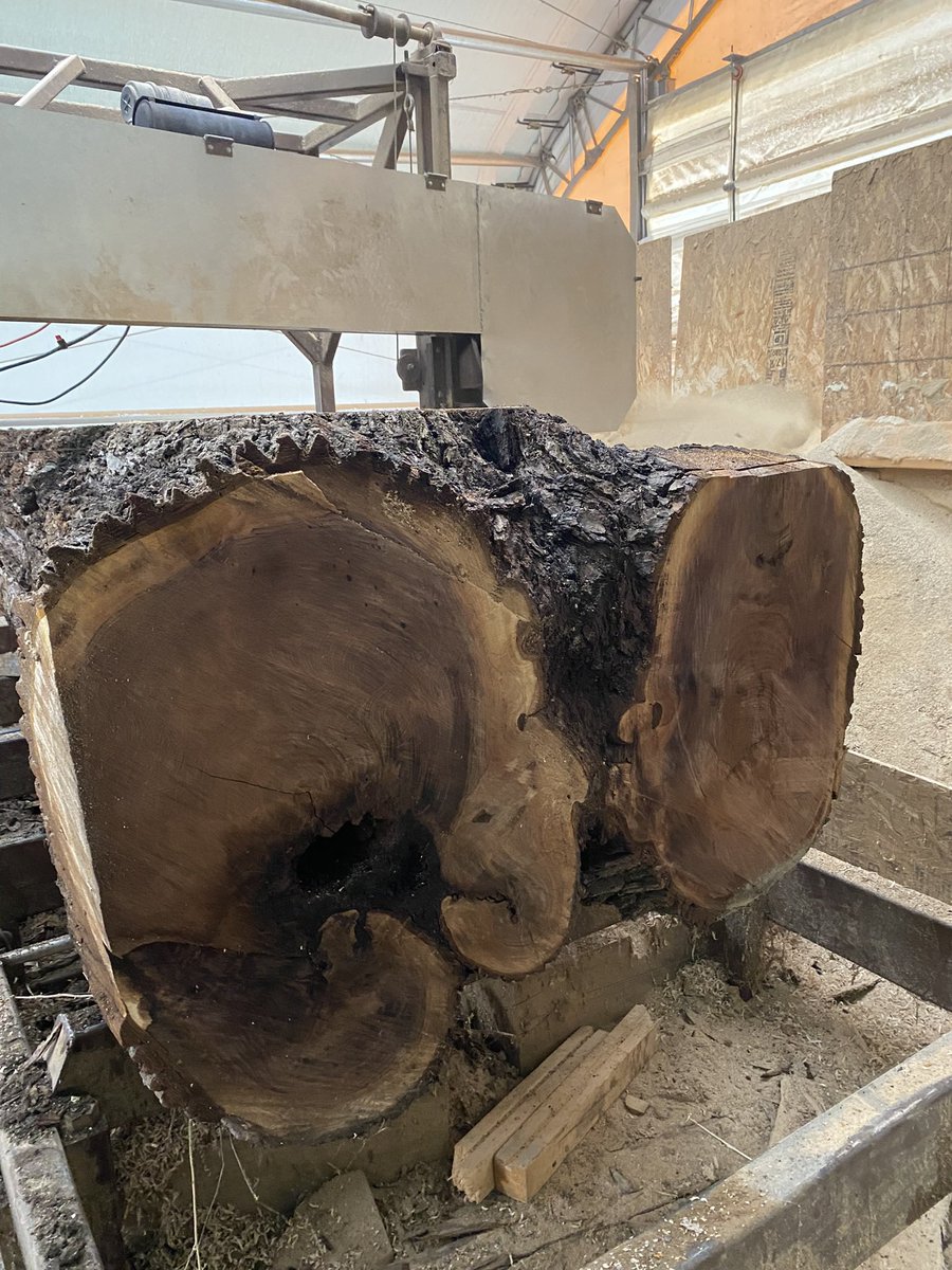 CCW_1997's tweet photo. We slabbed a beautiful walnut log, really nice grain and color. #customcountrywoods #blackwalnut #walnut #liveedge #liveedgeslab #liveedgeslabs #bigwood #wegotbigwood #woodworking #woodworker https://t.co/Be7qUOSIW3
