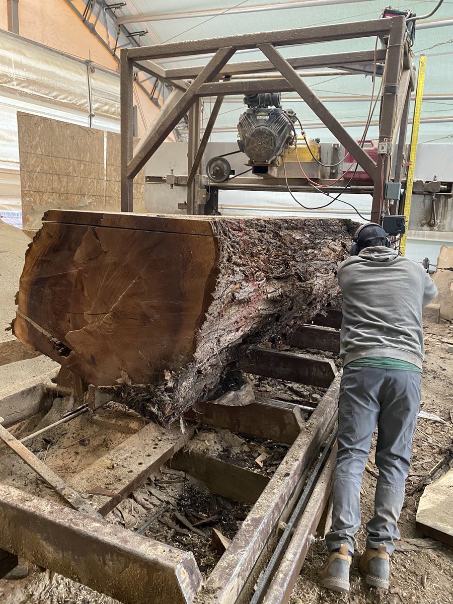 CCW_1997's tweet photo. We slabbed a beautiful walnut log, really nice grain and color. #customcountrywoods #blackwalnut #walnut #liveedge #liveedgeslab #liveedgeslabs #bigwood #wegotbigwood #woodworking #woodworker https://t.co/Be7qUOSIW3