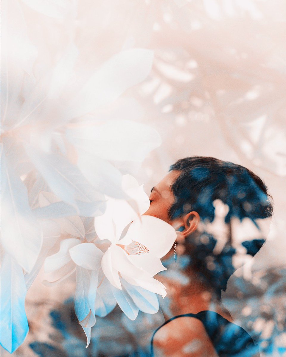 Afterlight tweet media