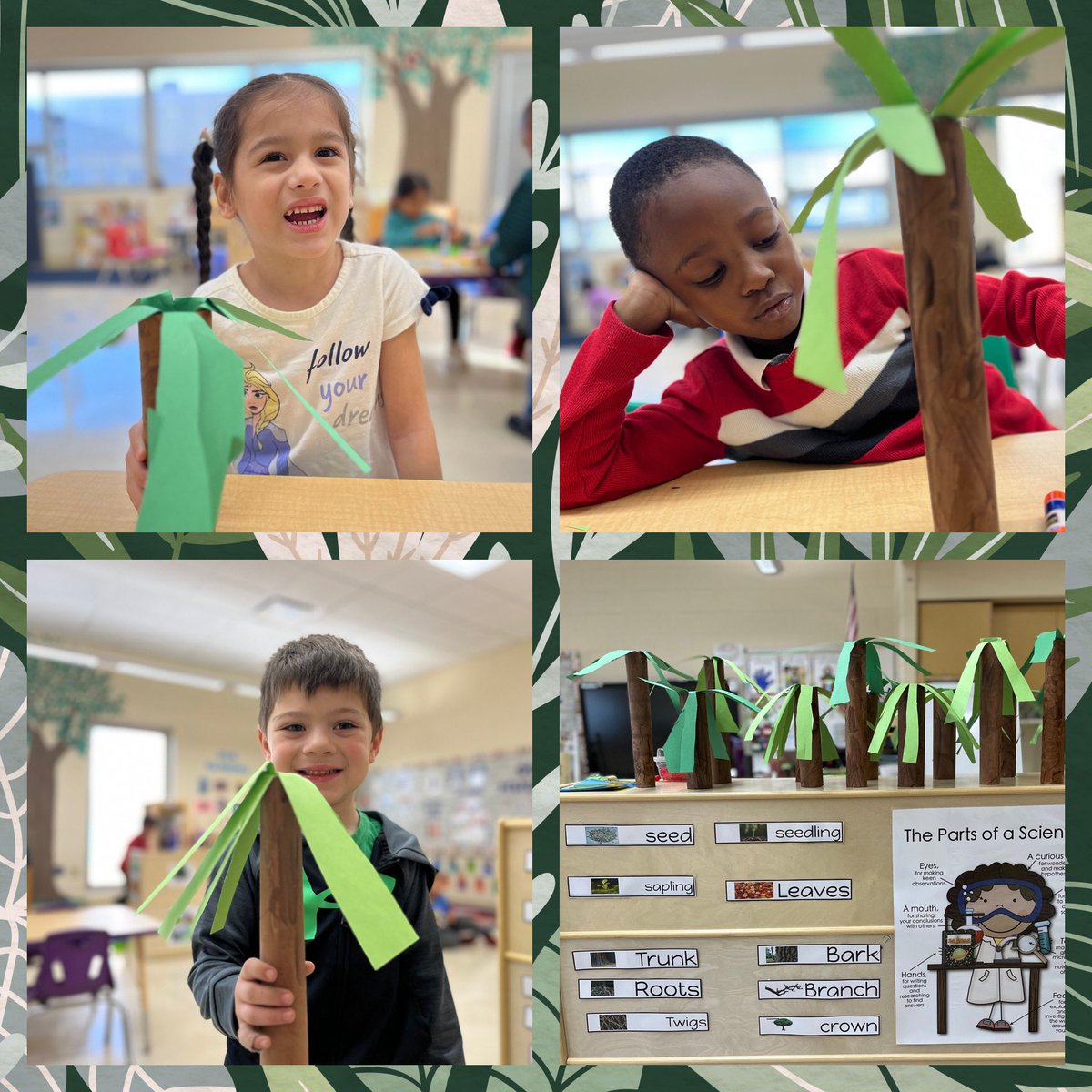 MarilynLoftus9's tweet photo. We made palm trees! #nbteampreschool #parsonspride #truenorthbrunswick #treestudy https://t.co/k6JWXelJub