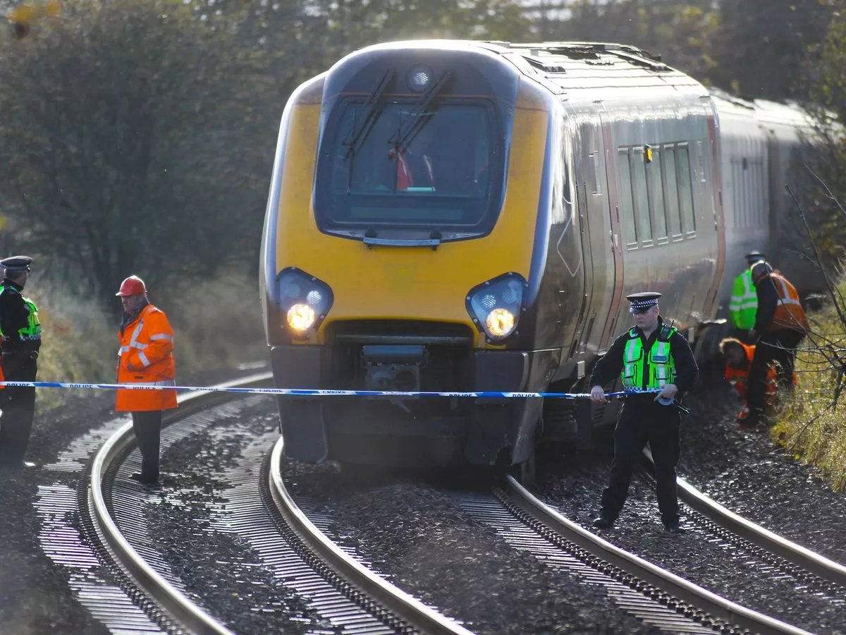 Good evening! A good service is running on all of our routes tonight, bar a few delays.