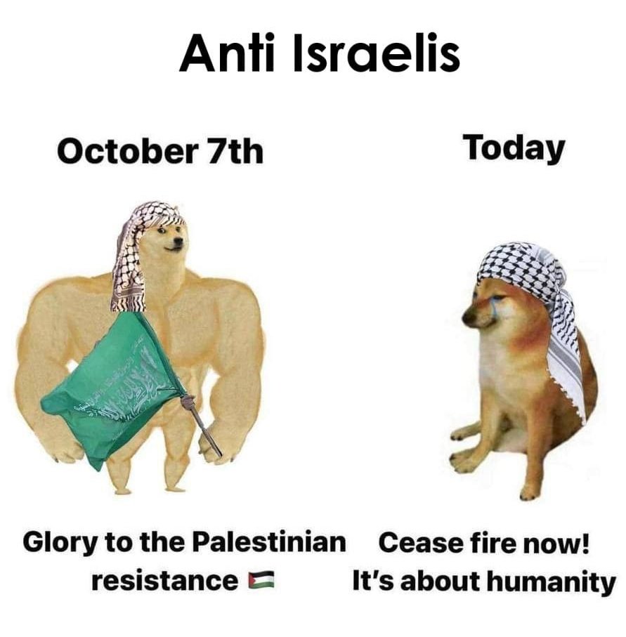 MadallaDauda5's tweet photo. @Bahrian_Nibba @spectatorindex #Terroristhamas https://t.co/J6IldIQjth