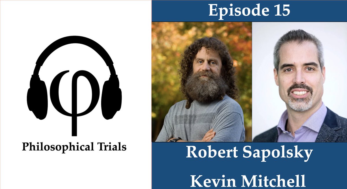 Theodor Nenu tweet media