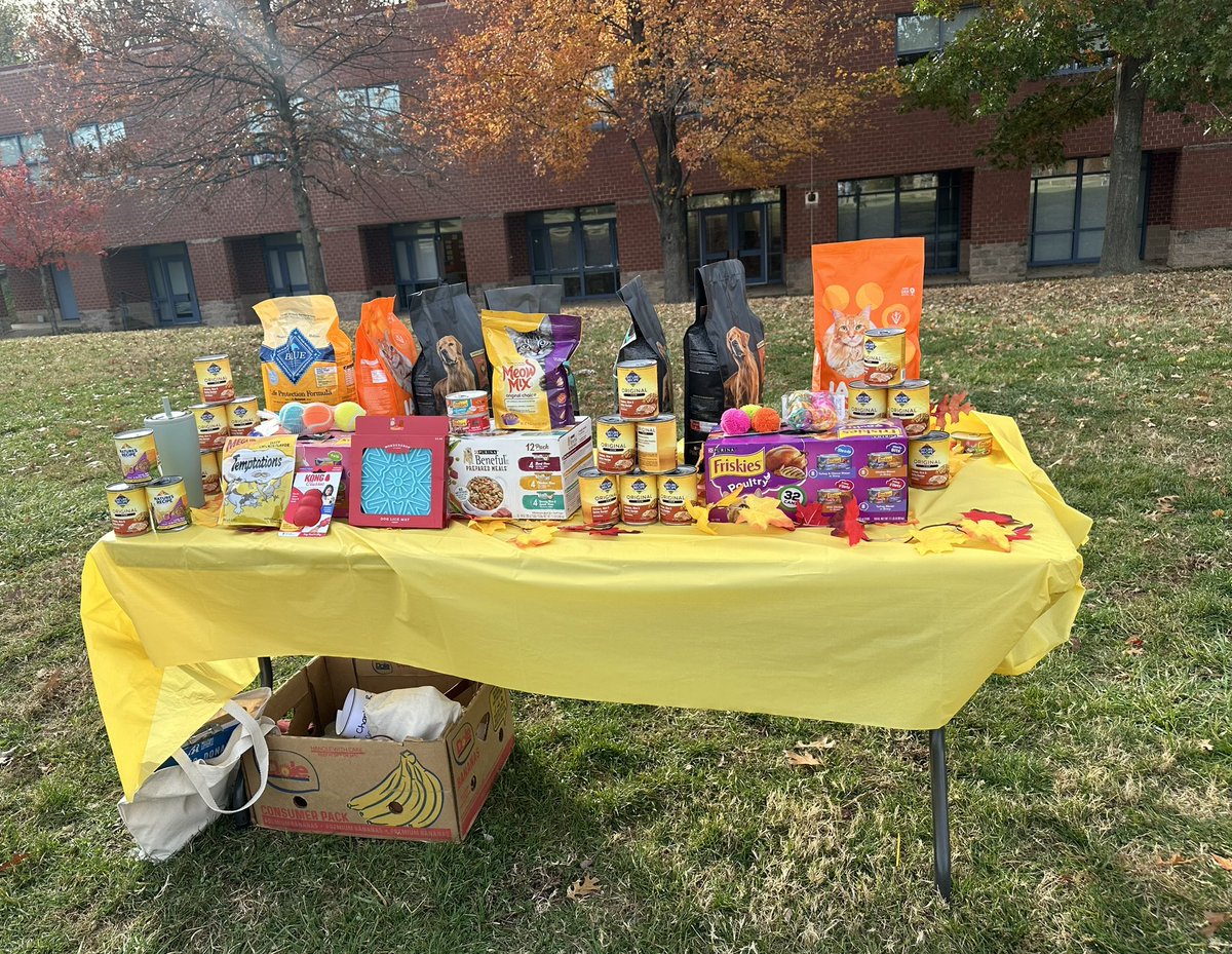 Sara Costa tweet media