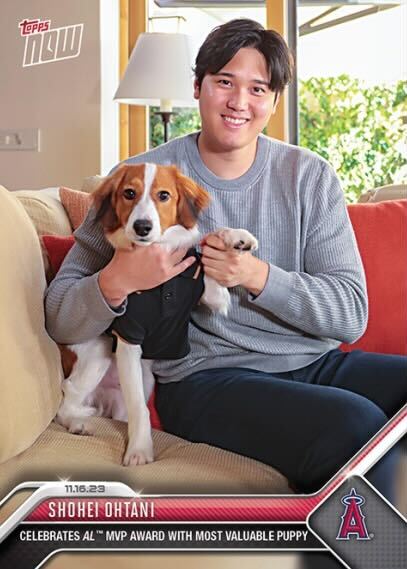 Topps made a baseball card for Shohei Ohtani and his 'most valuable puppy' 🥺