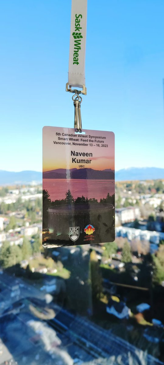 Naveen Kumar (@knaveen_vt) on Twitter photo Had an amazing time with brilliant wheat scientist community <a href="/CWS2023/">5th Canadian Wheat Symposium 2023</a> <a href="/UBC/">University of British Columbia</a> .Gratitude to incredible organizers for an outstanding event @CBL_UBC . Looking forward to future collaborations & more inspiring moments. Had an amazing time with brilliant wheat scientist community <a href="/CWS2023/">5th Canadian Wheat Symposium 2023</a> <a href="/UBC/">University of British Columbia</a> .Gratitude to incredible organizers for an outstanding event @CBL_UBC . Looking forward to future collaborations & more inspiring moments.