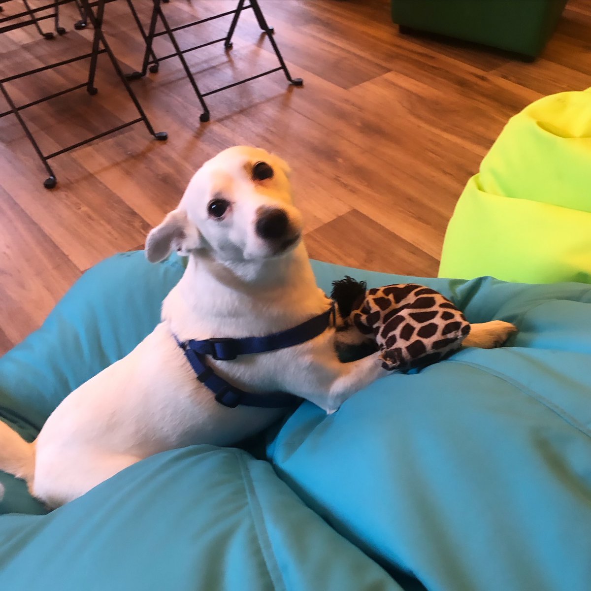 Lets-Talk tweet media