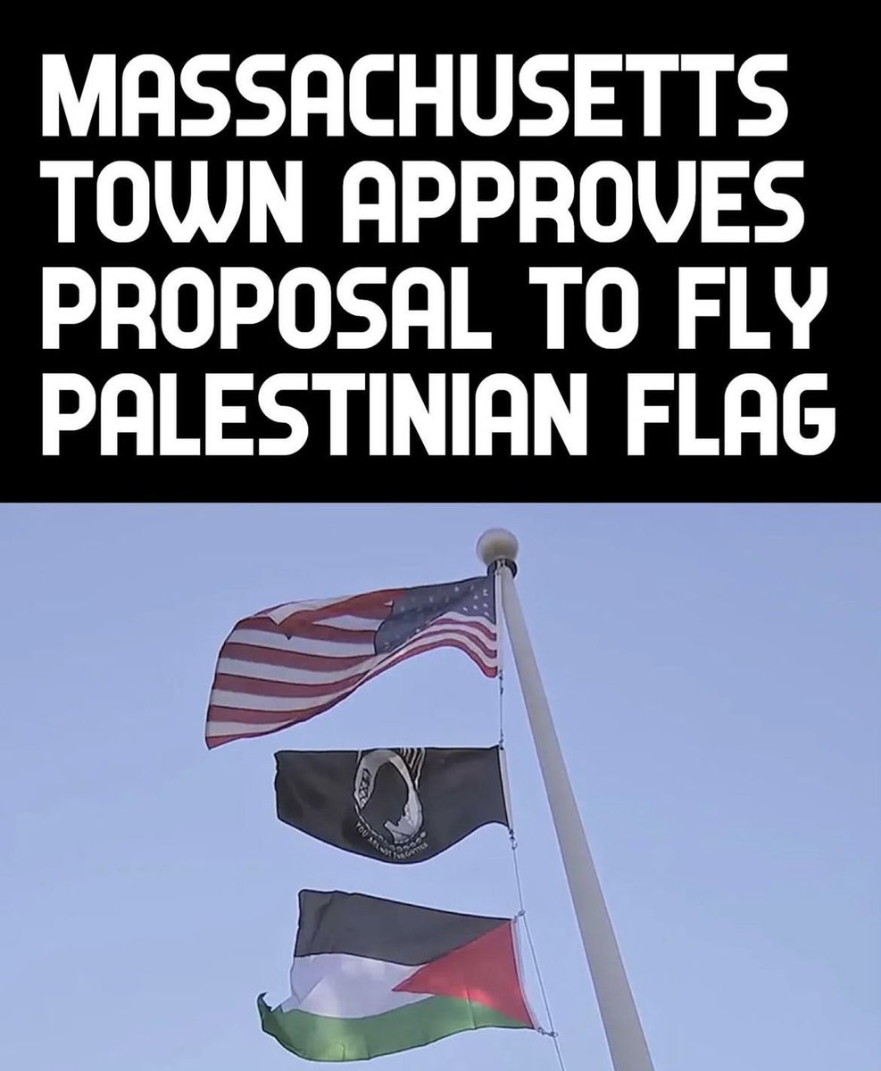 Jake Shields tweet media