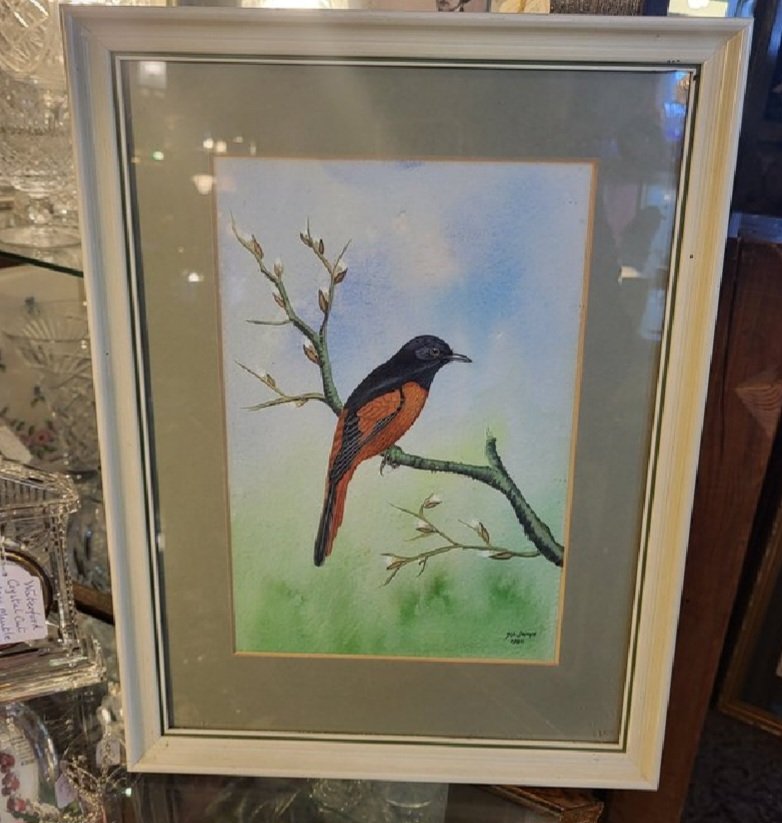 CressidaFallon's tweet photo. @NEPgrunz A Scarlet Minivet by Hira Lal Dangol. 1985 https://t.co/OapyWbd2wy