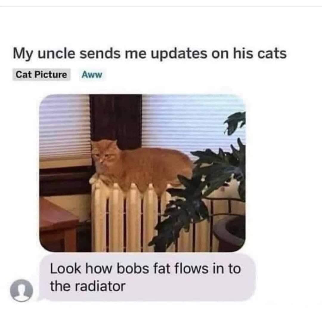 SpillTheMemes's tweet photo. Bob 😂 https://t.co/jbORvy5zT8