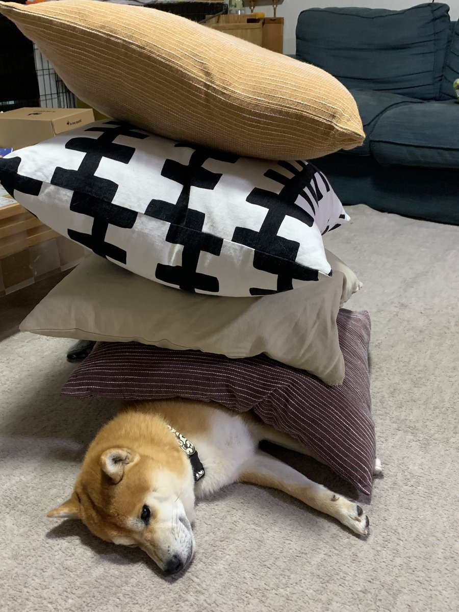 melongunma's tweet photo. https://t.co/qBdEPpcXKj
