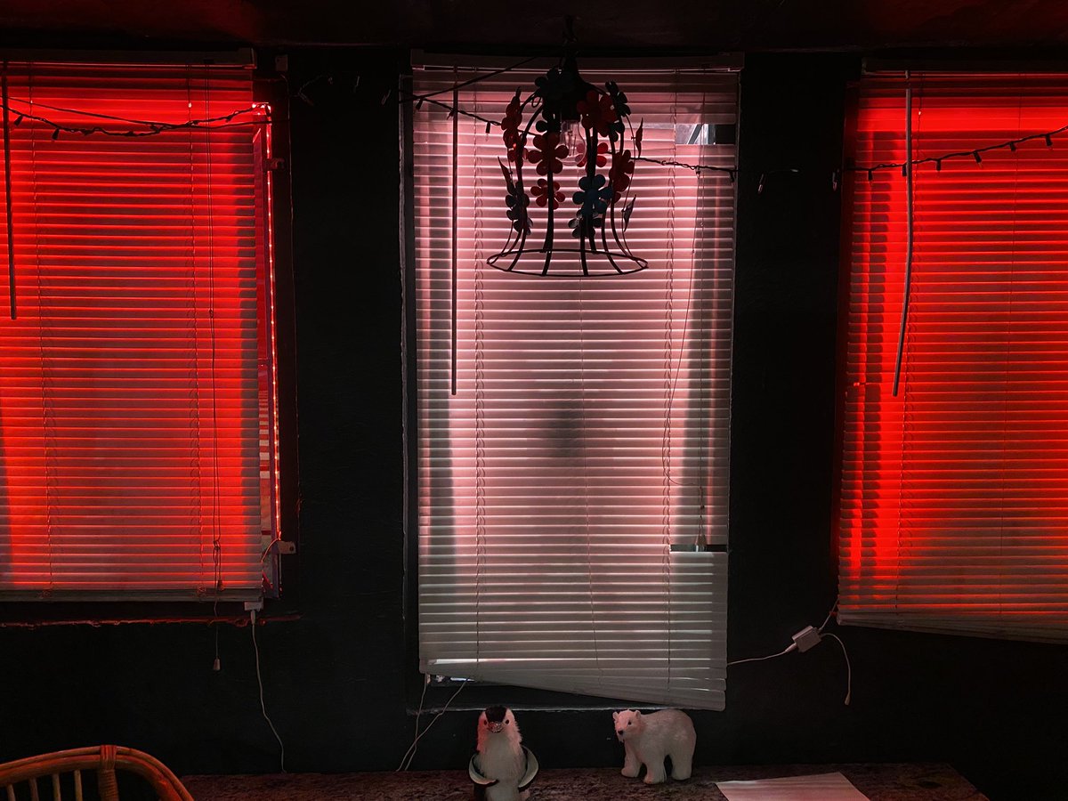 The Public Option tweet media