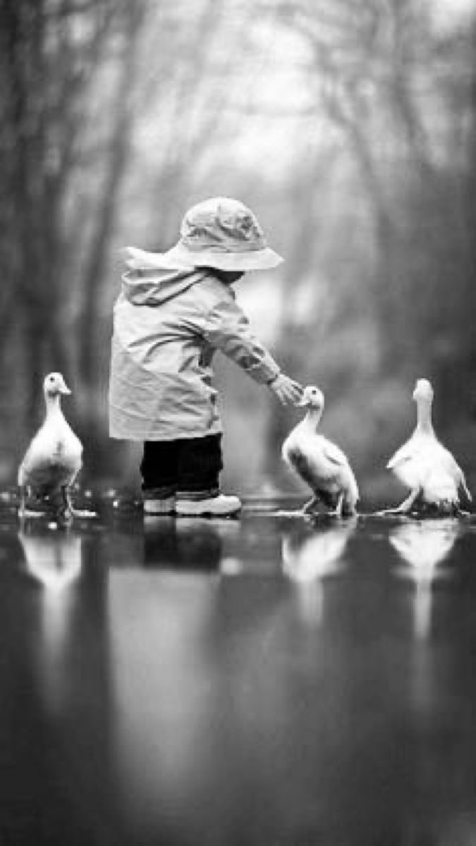 ᄂ Ц Z (@blanchenoirr) on Twitter photo 