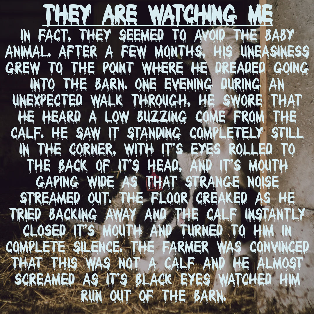 #horrorprompt #writer #horrorstory #horror #creepy #creepypasta #originalcharacter #originalstory #monster #danger #alien #scifi #Encounter #scary #scarystories #horrorcreep #horrorcreator #horrorstory #horrorwriting #horrorwriter #Horrorfam #HorrorCommunity
By: I.M. Draco
(2/2)
