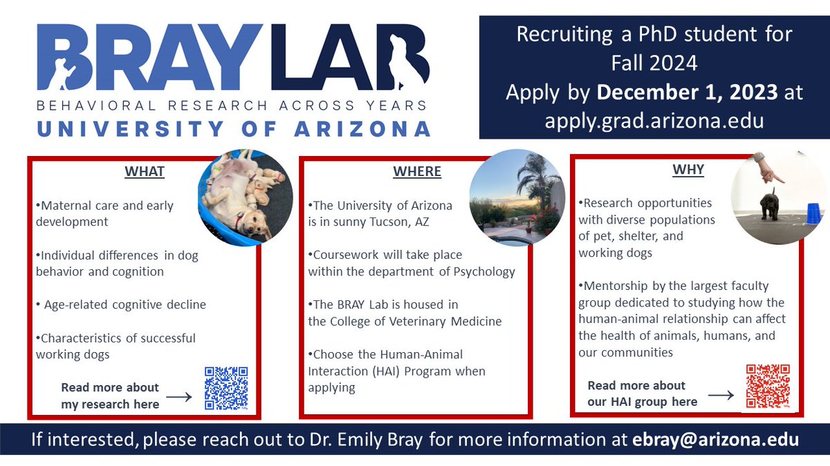 I am recruiting a graduate student in my new research group, the BRAY (#BehavioralResearchAcrossYears) lab, at @uarizona @UAZVetMed! 👉Earn a PhD in Psychology with a focus on human-animal interaction 👉Start in Fall 2024, fully funded for 5 yrs 👉Apply by December 1, 2023
