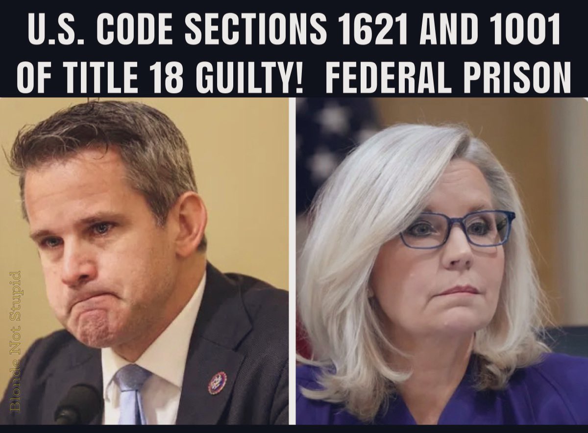 U.S. Code 1743. PERJURY -- OVERVIEW OF 18 U.S.C. §1621
— makes it a felony crime make a “false statement” to an agent of the government related to a federal matter.
— Section 1621 requires that the oath be taken 'before a competent tribunal, officer or person

#J6CoverUp