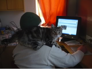 doomflipper73's tweet photo. @TheKindKitten My best buddy since 2006 or so (now minus a leg and deaf) . She was with me every time i rode the hitlist in MW back in the day https://t.co/Ba7jI7zCJi