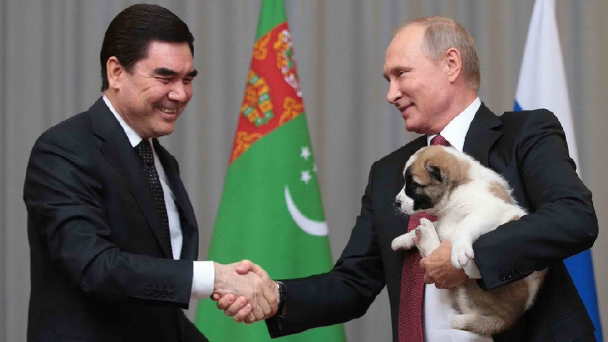 metarithm's tweet photo. As the Oğuz Turks began their westward expansion, they brought these beautiful dogs (also called Alabay in #Türkmen Turkish) with them.
Pictured below: Türkmen President Berdimuhamedow gifting an #Alabay puppy to Vladimir #Putin. https://t.co/gqsfkwGHO0