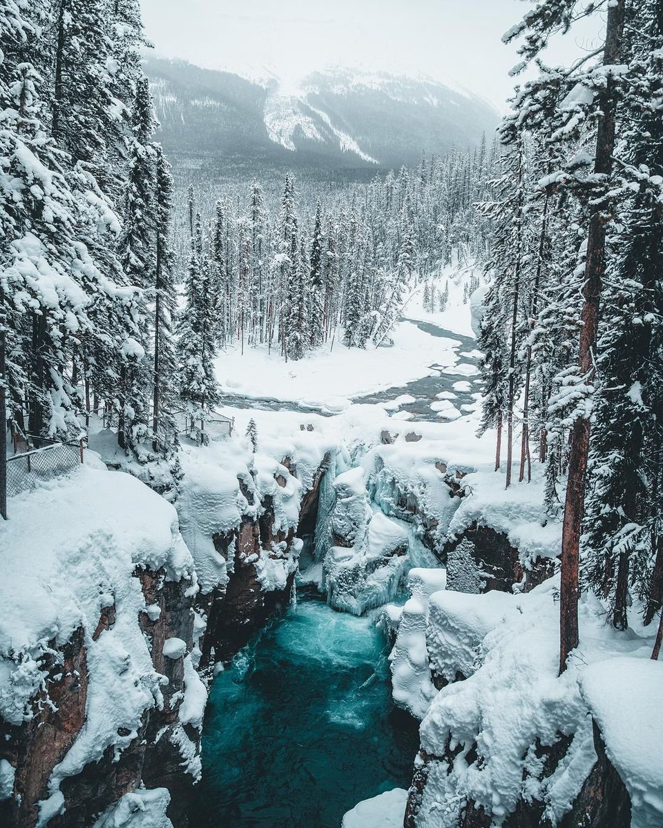 KHSAssassins's tweet photo. Jasper National Park, Canada 🇨🇦 https://t.co/GqOezD12u0