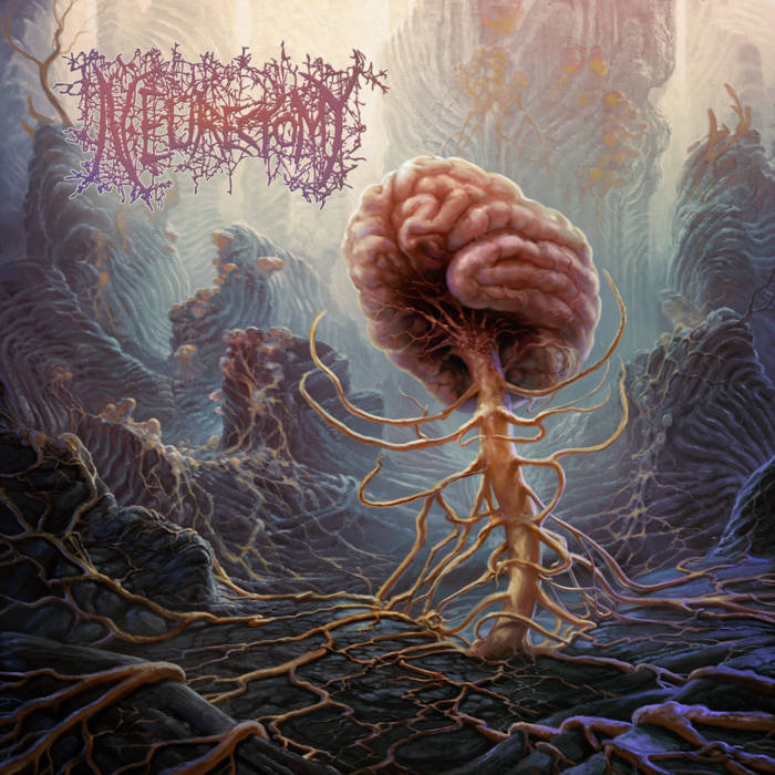 heavycommunion's tweet photo. Variegated, batshit crazy brutal death spewed forth with visceral intensity. Crazy elements of free jazz and beyond colour the already gleaming torpedo. An unrelenting unforgiving wild ride from start to end ☠️

Neurectomy - Overwrought 🇺🇲 https://t.co/8MQRPmbNXW