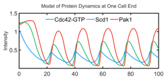 Marcus Harrell tweet media